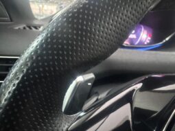 
										Peugeot 3008 BlueHDi 130 S&S EAT8 GT full									