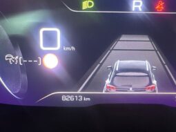 
										Peugeot 3008 BlueHDi 130 S&S EAT8 GT full									