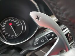 
										Alfa Romeo Stelvio 2.2 Turbodiesel 210 CV AT8 Q4 Sport Edition full									