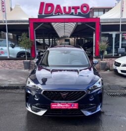 Cupra Formentor 2.0 TDI 150 CV 4Drive DSG