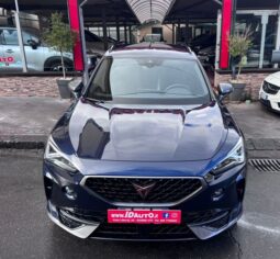Cupra Formentor 2.0 TDI 150 CV 4Drive DSG