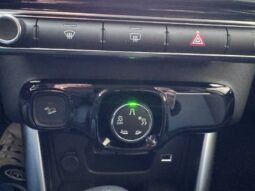 
										Citroen C3 Aircross 1.5 BlueHDi 100 CV S&S Shine full									