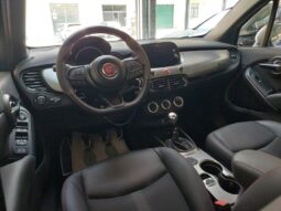 
										500X 1.0 T3 120 CV Sport full									