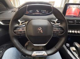 
										Peugeot 3008 1.6 BlueHDi 120 CV S&S EAT6 GT Line full									