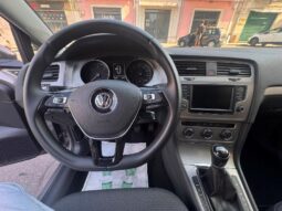 
										Volkswagen Golf 1.6 TDI 110 CV 5p. Business BlueMotion Technology full									