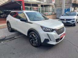 
										Peugeot 2008 1.5 BlueHDi 130 CV S&S EAT8 Allure full									
