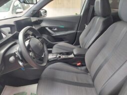 
										Peugeot 2008 1.5 BlueHDi 130 CV S&S EAT8 Allure full									