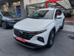 
										Hyundai Tucson 1.6 CRDi 136CV 48V DCT XLine full									