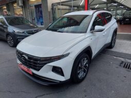 
										Hyundai Tucson 1.6 CRDi 136CV 48V DCT XLine full									