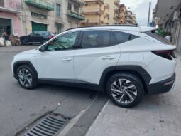 
										Hyundai Tucson 1.6 CRDi 136CV 48V DCT XLine full									