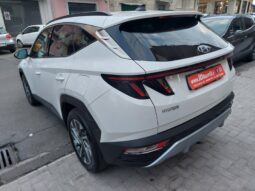 
										Hyundai Tucson 1.6 CRDi 136CV 48V DCT XLine full									