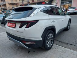 
										Hyundai Tucson 1.6 CRDi 136CV 48V DCT XLine full									