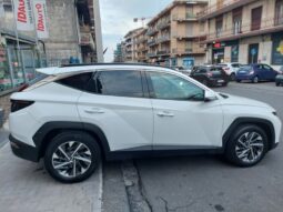 
										Hyundai Tucson 1.6 CRDi 136CV 48V DCT XLine full									