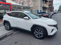 
										Hyundai Tucson 1.6 CRDi 136CV 48V DCT XLine full									