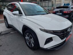 
										Hyundai Tucson 1.6 CRDi 136CV 48V DCT XLine full									