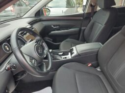 
										Hyundai Tucson 1.6 CRDi 136CV 48V DCT XLine full									