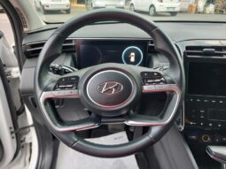 
										Hyundai Tucson 1.6 CRDi 136CV 48V DCT XLine full									