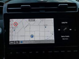 
										Hyundai Tucson 1.6 CRDi 136CV 48V DCT XLine full									