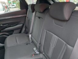 
										Hyundai Tucson 1.6 CRDi 136CV 48V DCT XLine full									