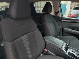 
										Hyundai Tucson 1.6 CRDi 136CV 48V DCT XLine full									