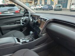 
										Hyundai Tucson 1.6 CRDi 136CV 48V DCT XLine full									