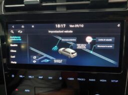 
										Hyundai Tucson 1.6 CRDi 136CV 48V DCT XLine full									